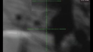 Охота на бобра с тепловизором