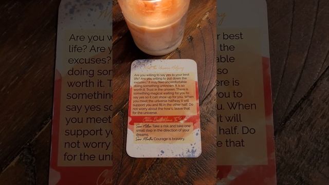 Halloween Oracle Card Of The Day смотреть онлайн