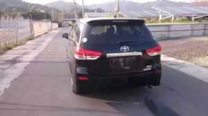 Видео-тест автомобиля Toyota Wish (черный, ZGE20-0028792, 2ZR-FAE, 2009г.)
