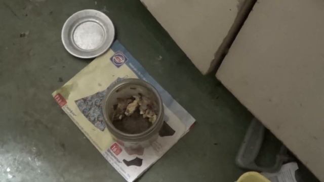 Готовлю ловушку для тараканов. С какой стороны мазать банку маслом смотреть онлайн