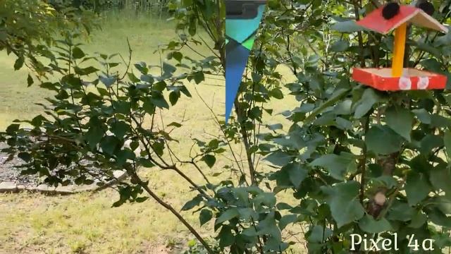 Купил Pixel 3XL в 2021 - всё ещё бодрячок?? смотреть онлайн