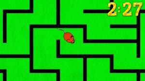 5 Minute Timer [MOUSE MAZE] ?