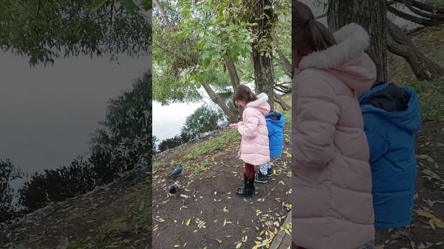 Мы кормим уточек в парке смотреть онлайн