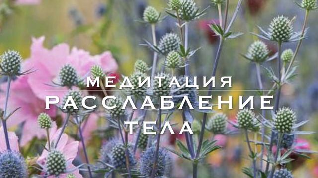 5 минутная медитация смотреть онлайн