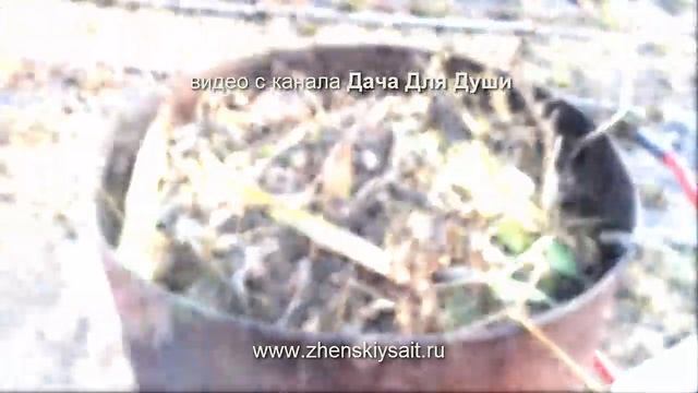 Первые работы с ЦВЕТНИКАМИ в саду??? смотреть онлайн