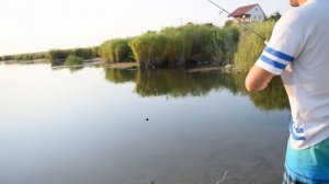 КАК ЛОВИТЬ ПЕЛЕНГАСА на МОРЕ с БЕРЕГА / СНАСТЬ + ЛИМАНСКИЙ ЧЕРВЬ