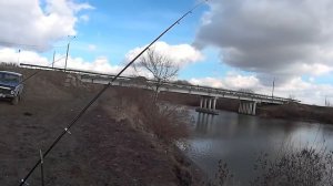 Отчет, что ловится 26.02.17 на Бессергеневке, теплый канал Новочеркасской ГРЭС.