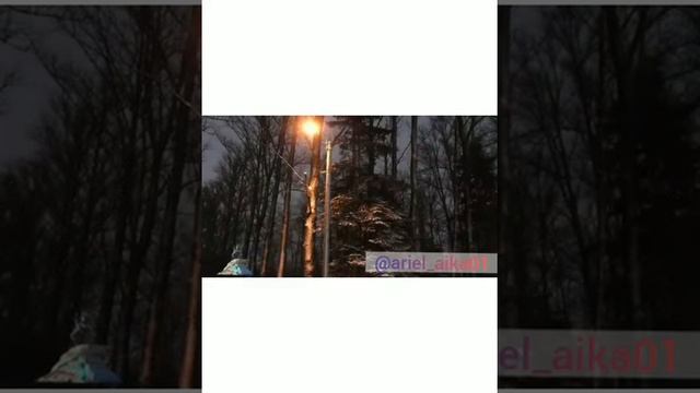 Анна Ахматова "Ты письмо мое милый не комкай" смотреть онлайн
