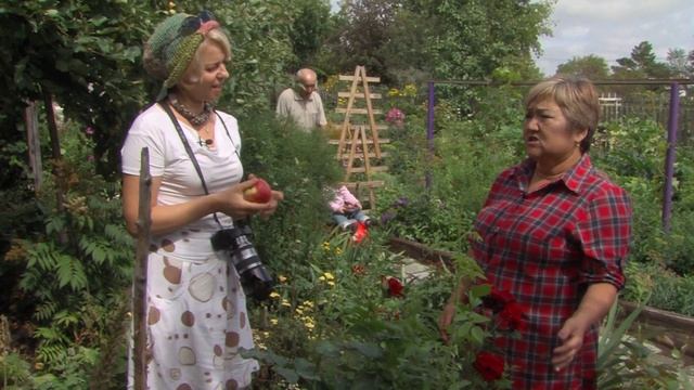 Dacha Pavlodar смотреть онлайн