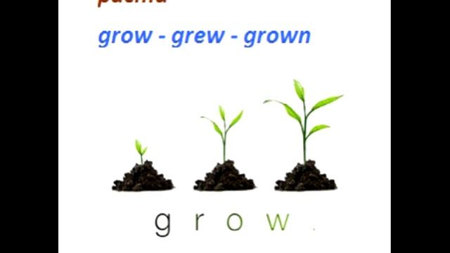 Irregular Verbs - Неправильные глаголы в английском для 3 класса смотреть онлайн