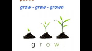 Irregular Verbs - Неправильные глаголы в английском для 3 класса