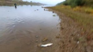 Ботинки забродные Kola Salmon Aquatic Boots с полиуретановой подошвой