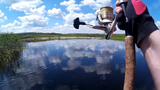 Рыбалка с приключениями 12.06.17. на р.Битюг под Пчелиновкой(без цензуры). смотреть онлайн