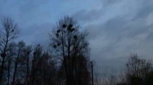 СИРЕНОГОЛОВЫЙ ПРОТИВ КАРТУН КЭТ: ЛУЧШАЯ БИТВА! СИРЕНОГОЛОВЫЙ ПРОТИВ МУЛЬТЯШНЫЙ КОТ