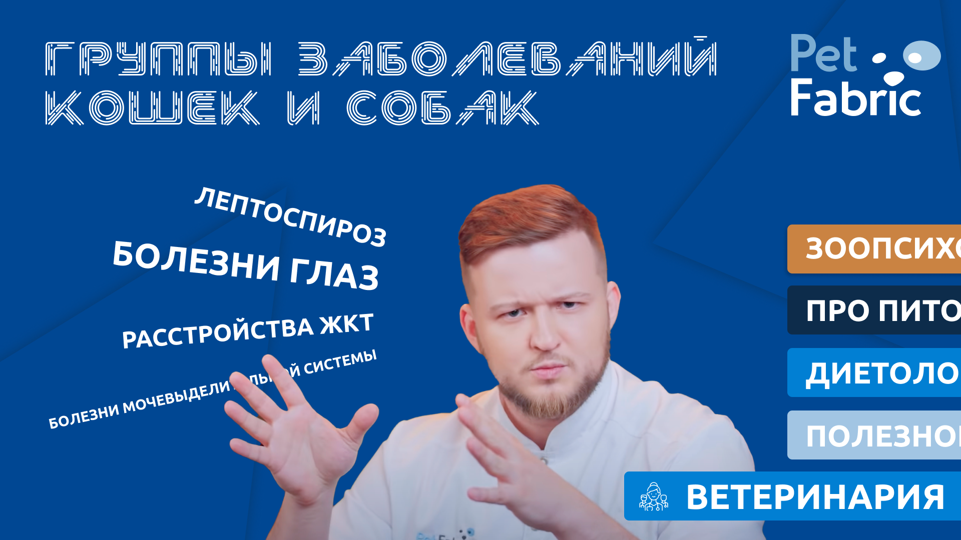 Группы заболеваний кошек и собак. смотреть онлайн