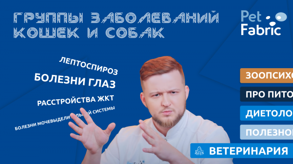 Группы заболеваний кошек и собак.