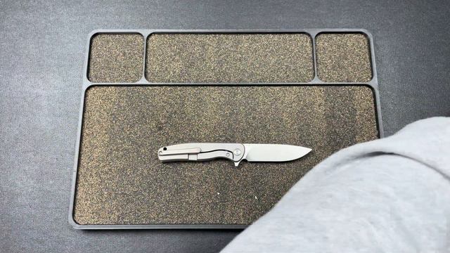 Small, But Mighty! | Vosteed Mini Labrador