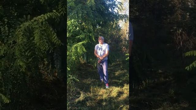 Робиния ложноакацивая или Белая акация смотреть онлайн