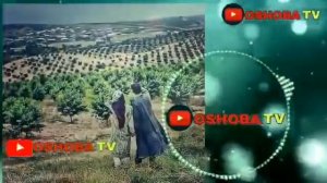 ТУЙБОБ КУШИКЛАР УЗБЕКЧА ШУХ ТЕРМА