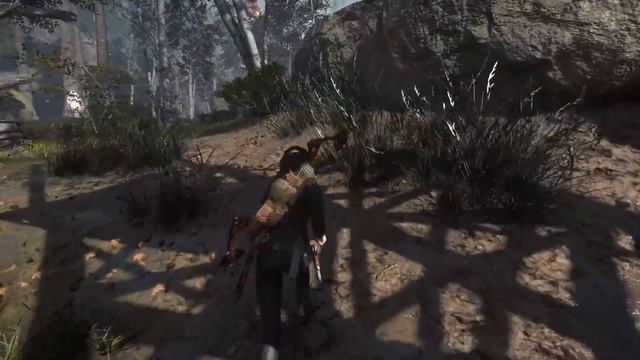 Let's Play Rise of the Tomb Raider | 21: "Drone Hunt" | [Blind/PC] смотреть онлайн