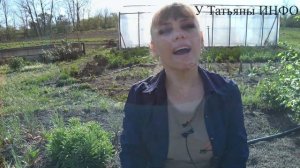 Полейте ЭТИМ ЛИЛИИ! Самая ВАЖНАЯ подкормка ЛИЛИЙ весной !!!