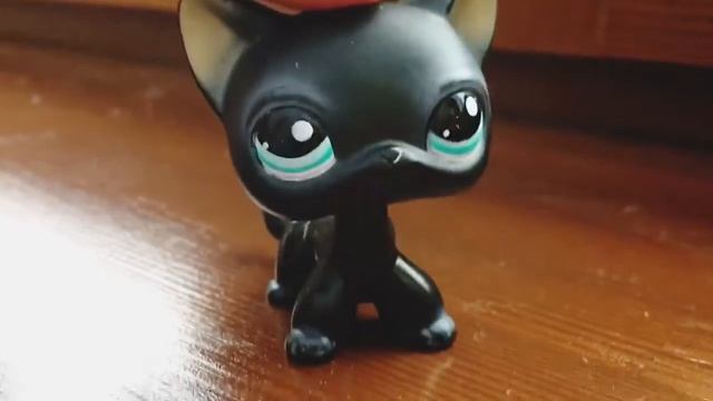 LPS Я БЫЛА В БЕЛОРУССИИ часть 2 смотреть онлайн
