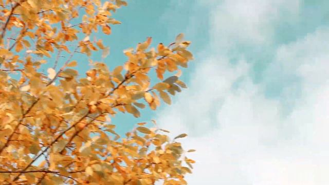 autumn 2019 смотреть онлайн
