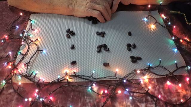 Гадание на бобах. Ваше имя начинается на букву "В"? Гадание для вас! смотреть онлайн