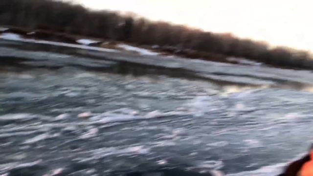 Моржи в Оренбурге смотреть онлайн