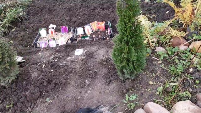 Посадка тюльпанов в ящики смотреть онлайн