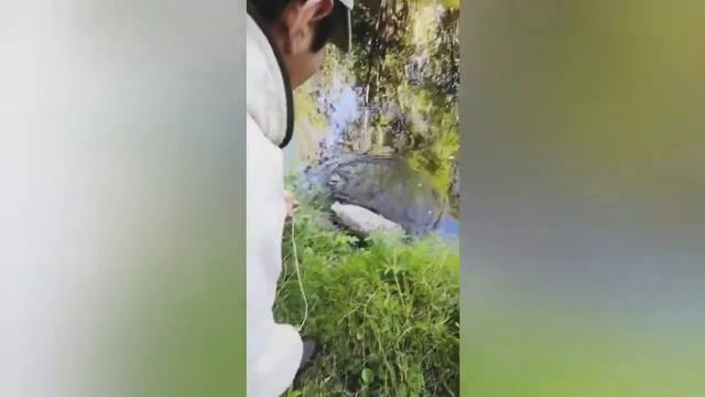 туу корчага смотреть онлайн