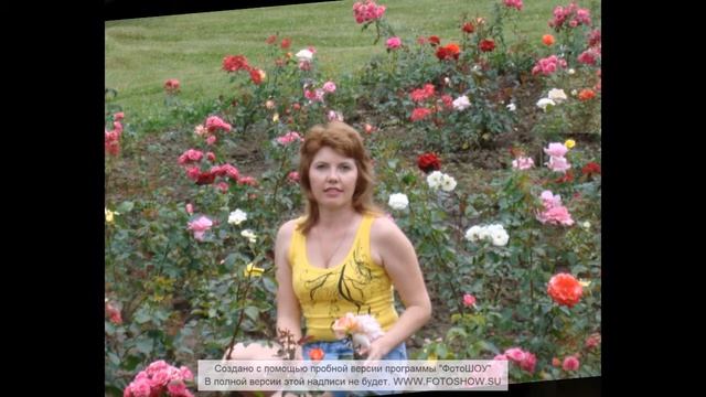 Миллион алых роз посвещается сестре смотреть онлайн