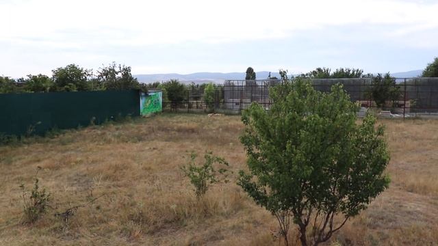 Персей, Витя и Филя видят сладкие утренние сны) Тайган. Белогорск. Крым.