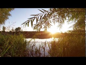 Душевный Город Спутник