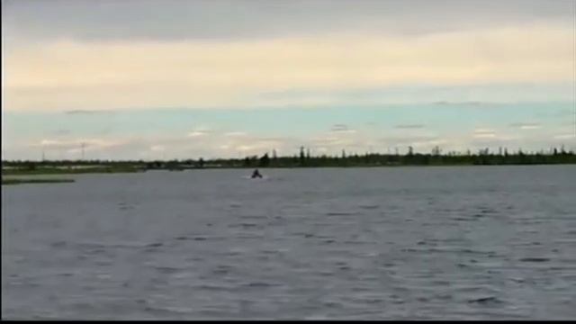 Тест Оби смотреть онлайн