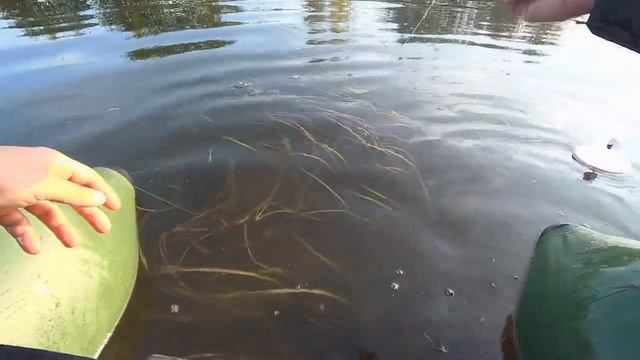 БОЕВЫЕ ЩУКИ!!! Бутылки на карпа! Щука в октябре! Щука на кружки. Рыбалка в Подмосковье 2020. смотреть онлайн