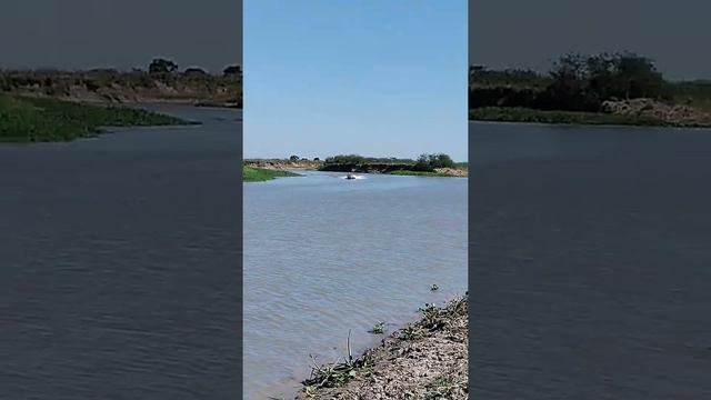 Probando el Halcón 456 con Yamaha F60 0km un misil!! смотреть онлайн