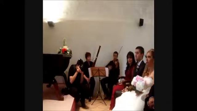 Dúo violín y fagot - ZEJEL EVENT MUSIC смотреть онлайн
