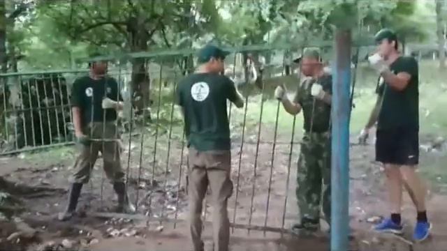 Тебердинский заповедник 2018 смотреть онлайн