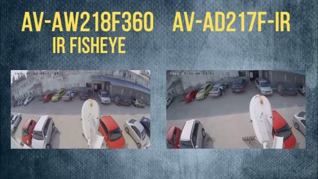 Купольная AD218 и цилиндрическая AW218 камеры AlfaVision.