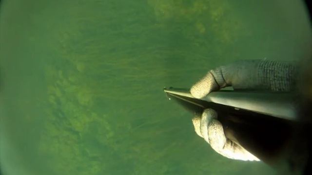Pesca Sub no Rio Grande 26 Abril смотреть онлайн