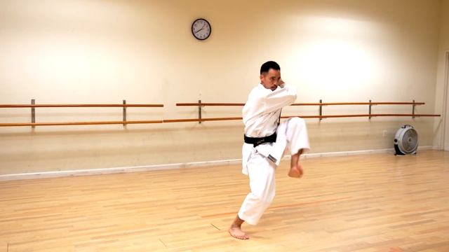 Tekki Shodan ,Tekki Nidan, & Tekki Sandan (FULL TUTORIAL) смотреть онлайн