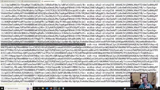 AASLR: Leveraging SSH Keys for Lateral Movement | Hal Pomeranz смотреть онлайн