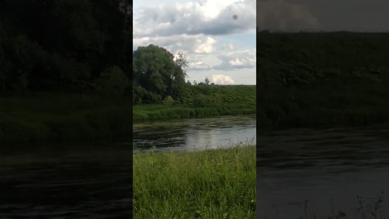 19 июня 2022 г. смотреть онлайн