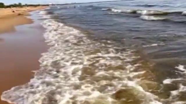 Ленинградская область, Солнечное смотреть онлайн