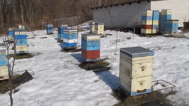 Пристрелочный облет 24.02.2017г. смотреть онлайн