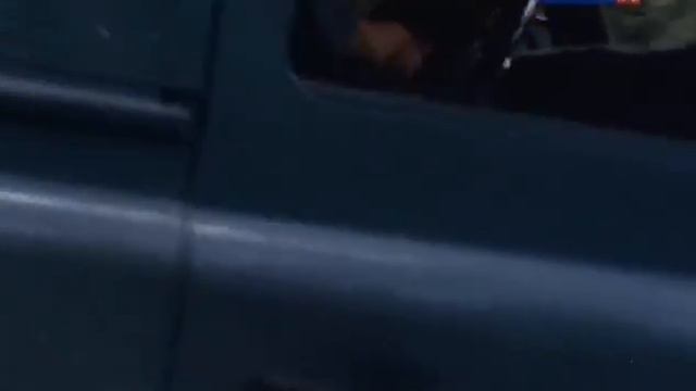 Рождение цивилизации Майя смотреть онлайн