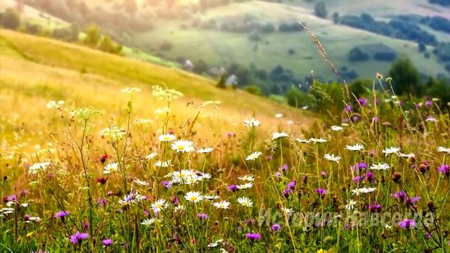 Увидев сына своего очень близкого друга, девушка побледнела, узнав в нем… смотреть онлайн