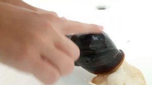 Обрабатываем панцерь улиткам Ахатина