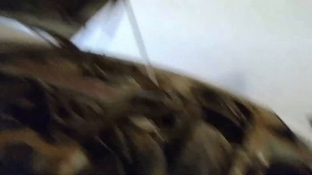 300zx fuel pump replacement pt2 смотреть онлайн